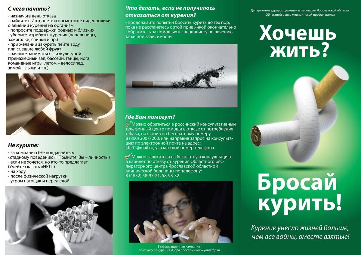 xZWpkv_qls8